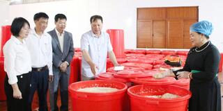 Xây dựng thương hiệu OCOP từ bản sắc vùng cao