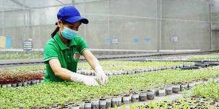 OCOP dưới góc nhìn biến đổi văn hóa sản xuất