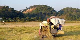 Hiện thực hóa Nghị quyết 57 bằng những cánh đồng công nghệ cao