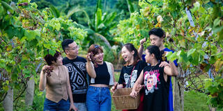 Hướng đi bền vững từ phát triển sản phẩm OCOP gắn với du lịch