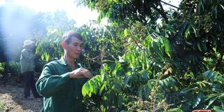 Chiềng Khương đồng hành cùng các hợp tác xã