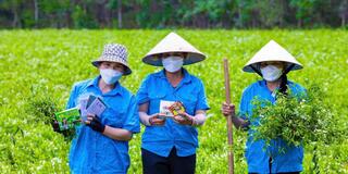 Xã Cam Lộ: Phát triển các sản phẩm OCOP