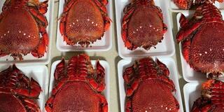 Phát triển sở hữu trí tuệ các sản phẩm lợi thế