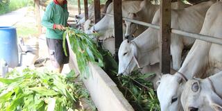 Lợi nhuận kép từ mô hình 2B