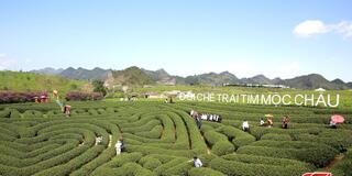 Xây dựng hệ sinh thái dịch vụ du lịch chuyên nghiệp