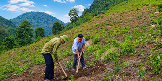 Gỡ “nút thắt” thu nhập trong xây dựng nông thôn mới