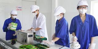Phát triển hợp tác xã và OCOP làm trụ cột kinh tế nông thôn