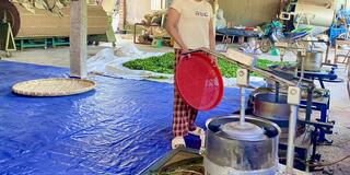 OCOP - Khơi dậy tiềm năng, nâng tầm nông sản, tạo sinh kế bền vững