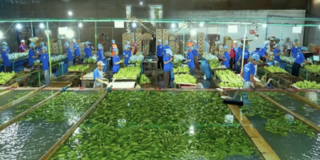 Gia Lai mở rộng đầu tư sang các tỉnh Ðông Bắc Campuchia