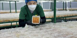 Phát triển kinh tế tập thể, nâng tầm sản phẩm OCOP trong kỷ nguyên số