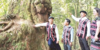 Phát triển kinh tế dưới những tán rừng