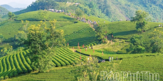 Phú Thọ đưa sản phẩm OCOP vào chuỗi giá trị du lịch