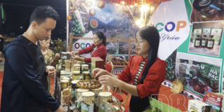 Nâng sức cạnh tranh cho sản phẩm OCOP