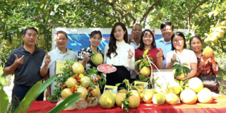 Mở rộng thị trường tiêu thụ nông sản trên nền tảng số