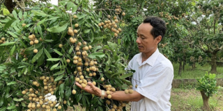 OCOP Hưng Yên: Điểm tựa từ cơ chế đến hành trình nâng tầm nông sản