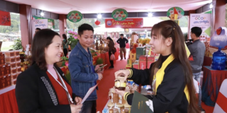 Hải Phòng đẩy mạnh thương mại điện tử, hỗ trợ tiêu thụ sản phẩm OCOP