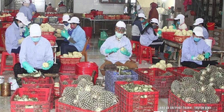 Không để gián đoạn Chương trình OCOP sau khi vận hành chính quyền địa phương 2 cấp