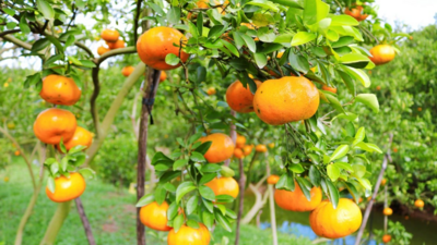 <a href="/tin-tuc/thuong-hieu" title="Thương hiệu" rel="dofollow">Thương hiệu</a>