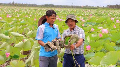 <a href="/tin-tuc/thuong-hieu" title="Thương hiệu" rel="dofollow">Thương hiệu</a>