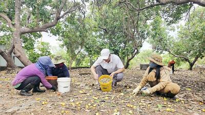 <a href="/tin-tuc/thuong-hieu" title="Thương hiệu" rel="dofollow">Thương hiệu</a>