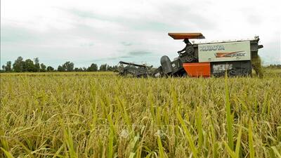 <a href="/tin-tuc/thuong-hieu" title="Thương hiệu" rel="dofollow">Thương hiệu</a>