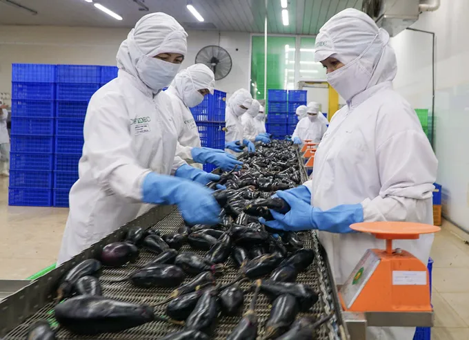 <a href="/tin-tuc/thuong-hieu" title="Thương hiệu" rel="dofollow">Thương hiệu</a>