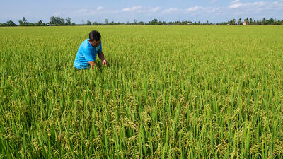 <a href="/tin-tuc/thuong-hieu" title="Thương hiệu" rel="dofollow">Thương hiệu</a>