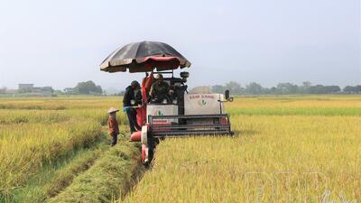 <a href="/tin-tuc/thuong-hieu" title="Thương hiệu" rel="dofollow">Thương hiệu</a>