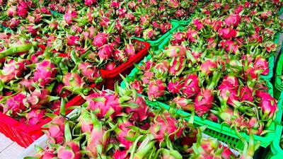 <a href="/tin-tuc/thuong-hieu" title="Thương hiệu" rel="dofollow">Thương hiệu</a>