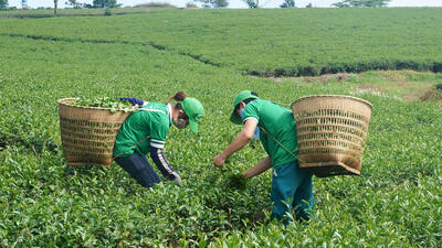 <a href="/tin-tuc/thuong-hieu" title="Thương hiệu" rel="dofollow">Thương hiệu</a>