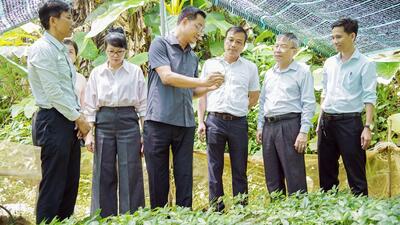 <a href="/tin-tuc/thuong-hieu" title="Thương hiệu" rel="dofollow">Thương hiệu</a>