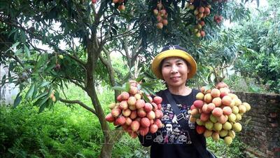 <a href="/tin-tuc/thuong-hieu" title="Thương hiệu" rel="dofollow">Thương hiệu</a>