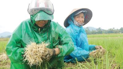 <a href="/tin-tuc/thuong-hieu" title="Thương hiệu" rel="dofollow">Thương hiệu</a>