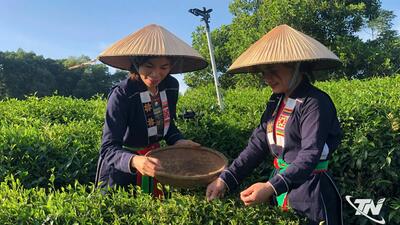 <a href="/tin-tuc/thuong-hieu" title="Thương hiệu" rel="dofollow">Thương hiệu</a>