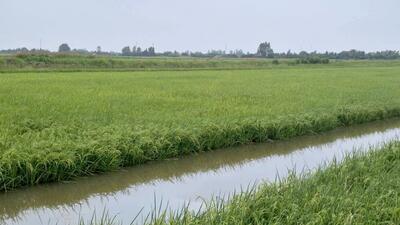 <a href="/tin-tuc/thuong-hieu" title="Thương hiệu" rel="dofollow">Thương hiệu</a>