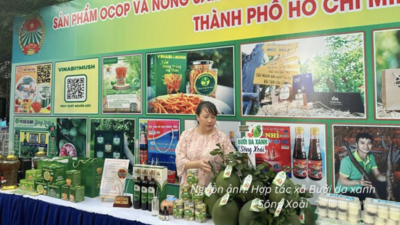 <a href="/tin-tuc/thuong-hieu" title="Thương hiệu" rel="dofollow">Thương hiệu</a>
