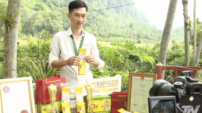 <a href="/tin-tuc/thuong-hieu" title="Thương hiệu" rel="dofollow">Thương hiệu</a>