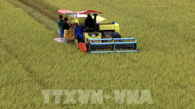 <a href="/tin-tuc/thuong-hieu" title="Thương hiệu" rel="dofollow">Thương hiệu</a>