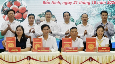 <a href="/tin-tuc/thuong-hieu" title="Thương hiệu" rel="dofollow">Thương hiệu</a>