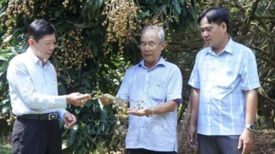 <a href="/tin-tuc/thuong-hieu" title="Thương hiệu" rel="dofollow">Thương hiệu</a>