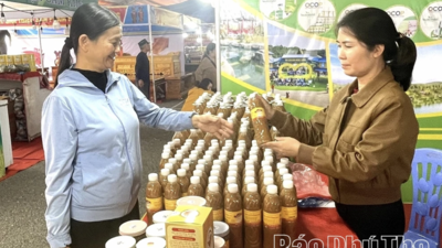 <a href="/tin-tuc/thuong-hieu" title="Thương hiệu" rel="dofollow">Thương hiệu</a>