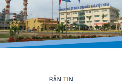 Báo cáo Kinh tế tháng 6/2024