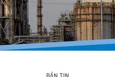 Báo cáo Kinh tế tháng 7/2024