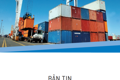 Báo cáo Kinh tế tháng 8/2024