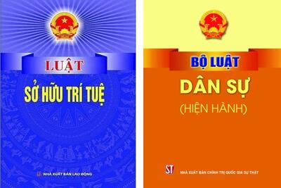 <a href="/tin-tuc/so-huu-tri-tue" title="Sở hữu trí tuệ" rel="dofollow">Sở hữu trí tuệ</a>