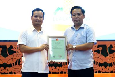 <a href="/tin-tuc/so-huu-tri-tue" title="Sở hữu trí tuệ" rel="dofollow">Sở hữu trí tuệ</a>