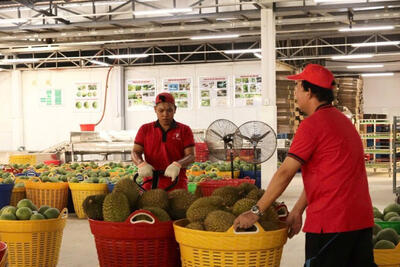 <a href="/tin-tuc/chien-luoc-canh-tranh" title="Chiến lược - Cạnh tranh" rel="dofollow">Chiến lược - Cạnh tranh</a>