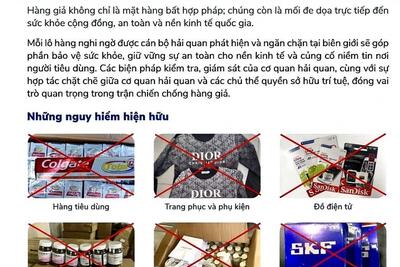 <a href="/tin-tuc/so-huu-tri-tue" title="Sở hữu trí tuệ" rel="dofollow">Sở hữu trí tuệ</a>