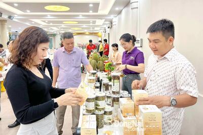 <a href="/tin-tuc/so-huu-tri-tue" title="Sở hữu trí tuệ" rel="dofollow">Sở hữu trí tuệ</a>