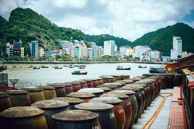 <a href="/tin-tuc/so-huu-tri-tue" title="Sở hữu trí tuệ" rel="dofollow">Sở hữu trí tuệ</a>
